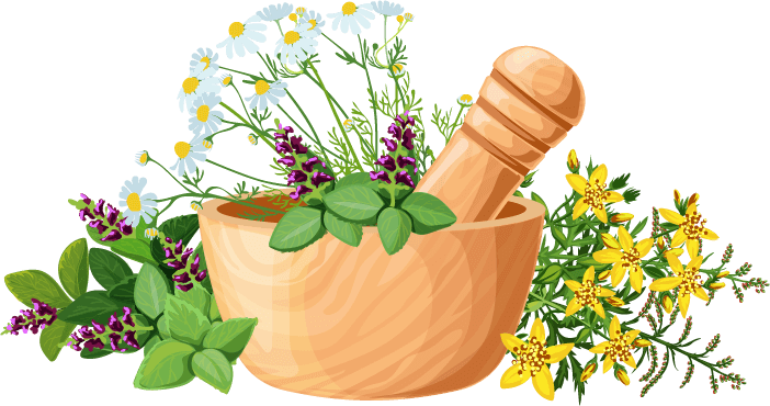 herbs